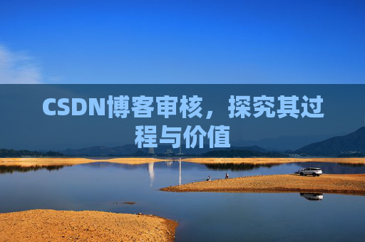 CSDN博客审核，探究其过程与价值